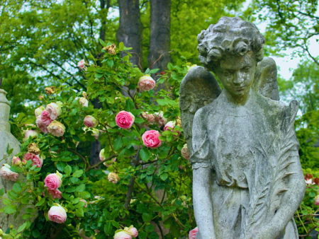 Кладбище Пер-Лашез