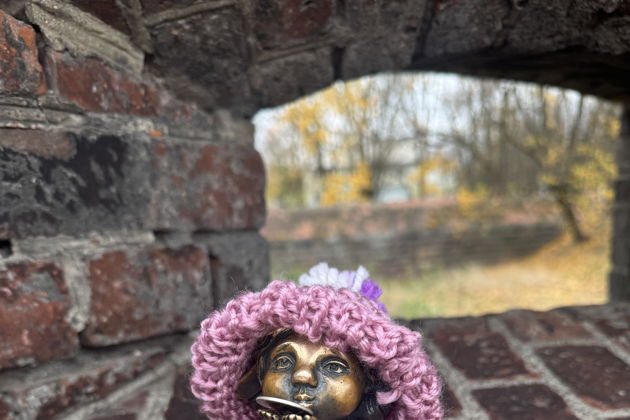 Виды Городские домовые