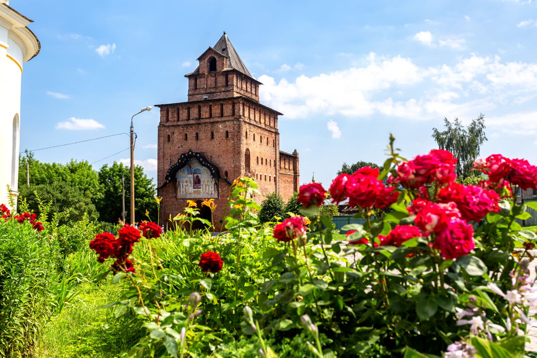 Индивидуальная обзорная экскурсия по Коломне — Кремль и Посад — фото 1