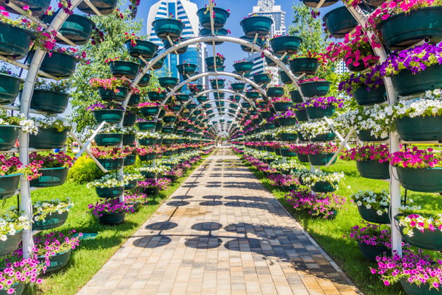 Виды Обзорная экскурсия по городу Грозный