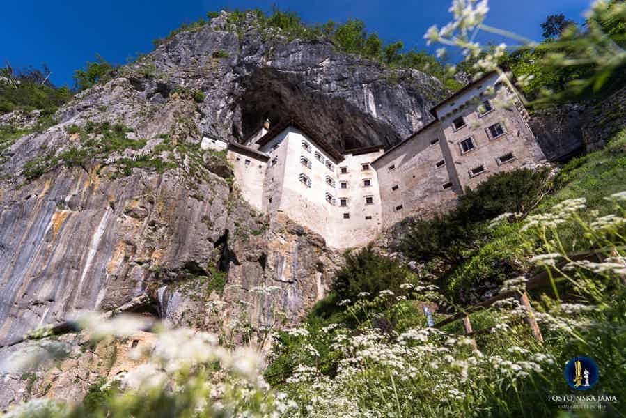 Постойнская пещера, Предъямский замок - фото 5