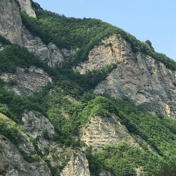 Аргунское ущелье до границы с Грузией, Цхой-Педе : комфорт класса   - фото 3