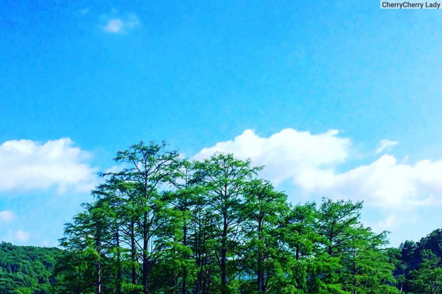 Виды Райские уголки Анапы за 5 часов