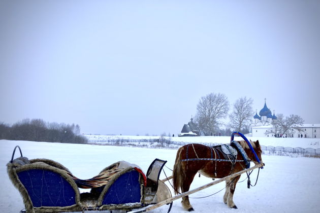 Виды Обзорная экскурсия «Суздаль многогранный» (индивидуальная)