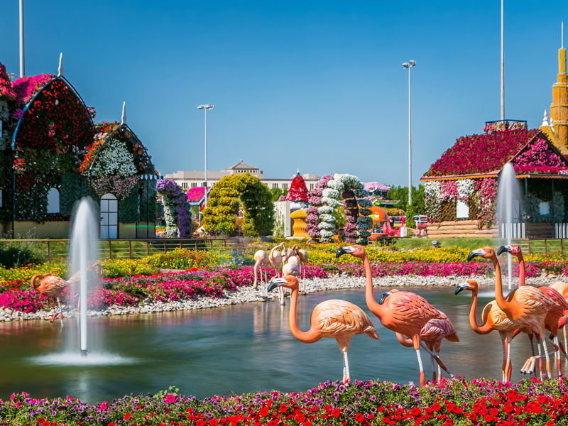 Парк цветов Miracle Garden и ярмарка Global Village - экскурсия в Дубай, ОАЭ