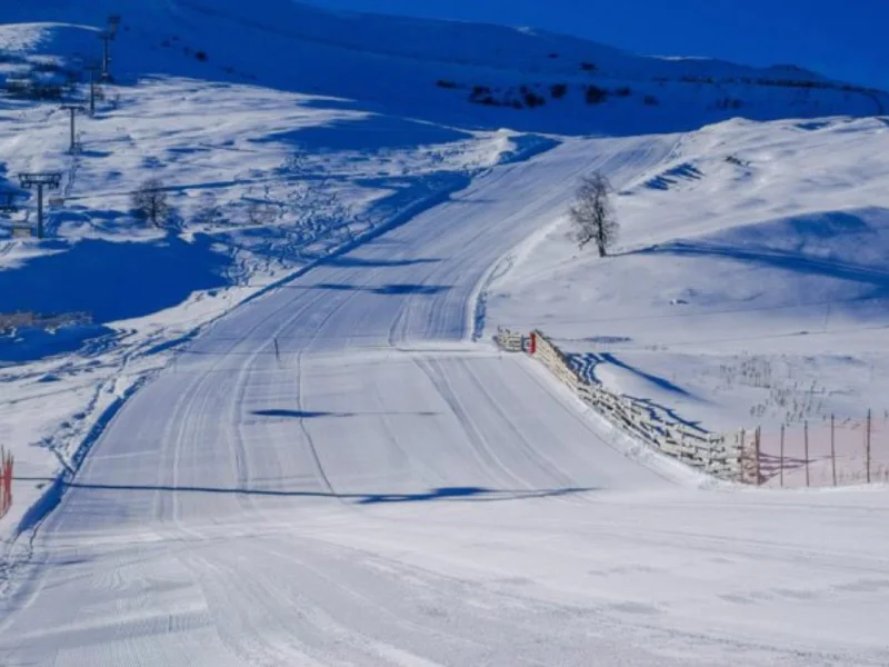 Зимний отдых на курорте Bakuriani Ski Resort + прогулка по Боржоми — фото 3, Тбилиси | Покатаем
