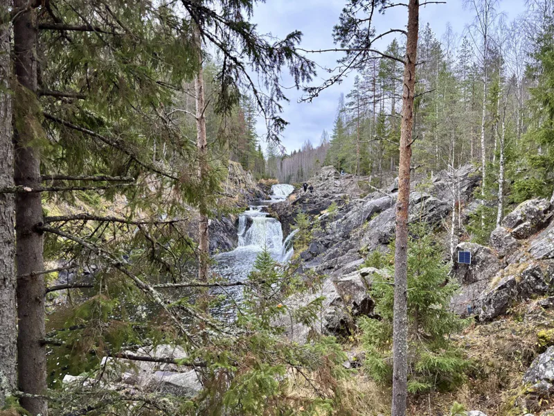 Осень в Карелии: три дня среди огненных лесов и зеркальных озёр — фото 4, Петрозаводск | Покатаем