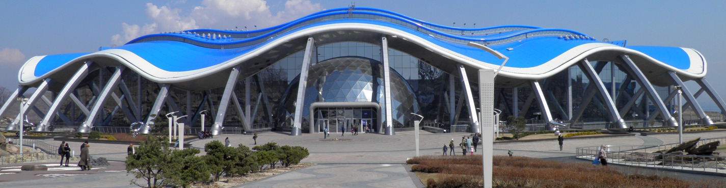 Океанариум и фотопрогулка по набережной центра отдыха Новик