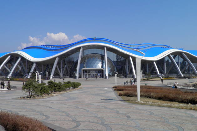 Океанариум и фотопрогулка по набережной центра отдыха Новик