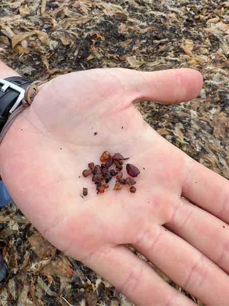 Открыть Сахалин: Охотское море, японские тории и бухта Тихая (до 8 гостей) - фото 1