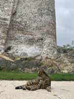 Экскурсия "Два континента на автомобиле" - фото отзыва 2