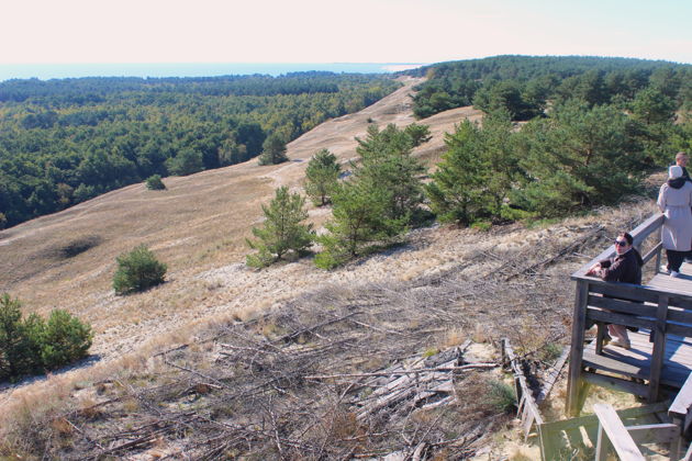 Виды Куршская коса — первое свидание