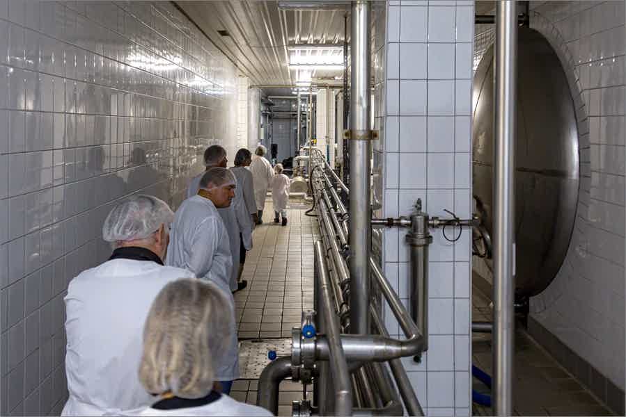Экскурсия на пивоварню с дегустацией пива и закусок собственного производства - фото 4