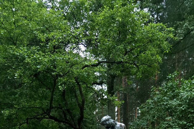 Виды Екатерининский и Александровский парки — билеты включены