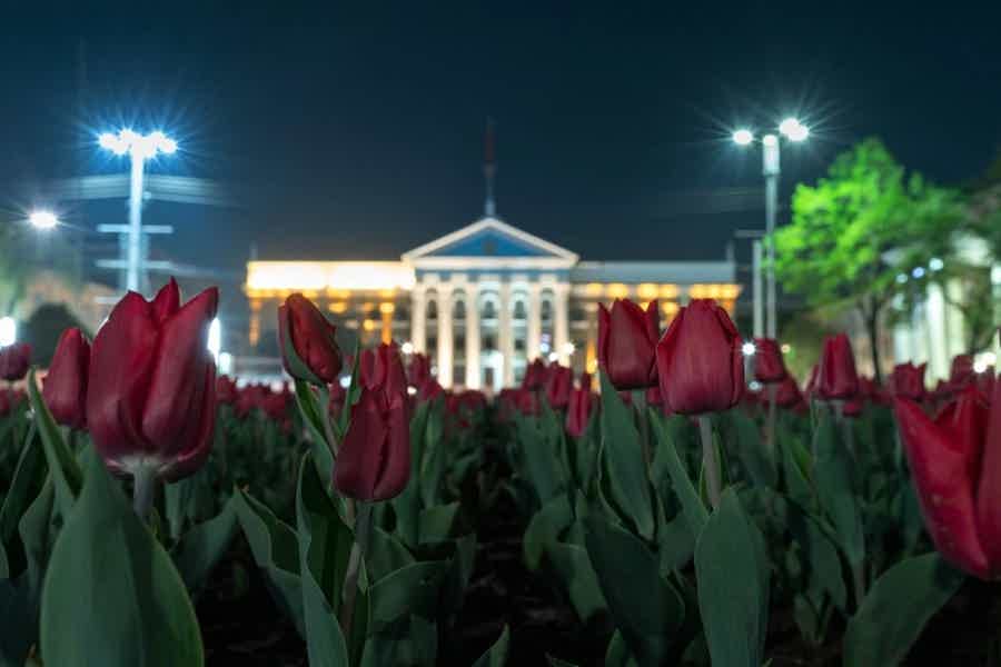 Ночной Бишкек, или чем живет мегаполис! Вечерняя жизнь города! - фото 4