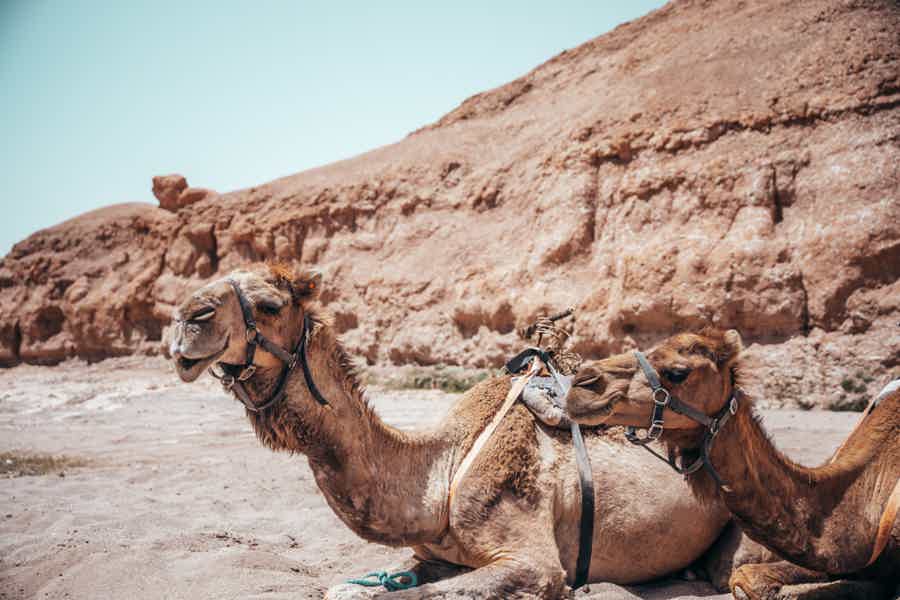 Agafay Desert Quad Bike & Camel Half-Day Trip w/ Dinner - photo 6