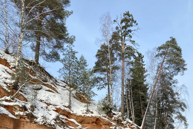 Фото к экскурсии SUP-прогулка по р. Оредеж в межсезонье