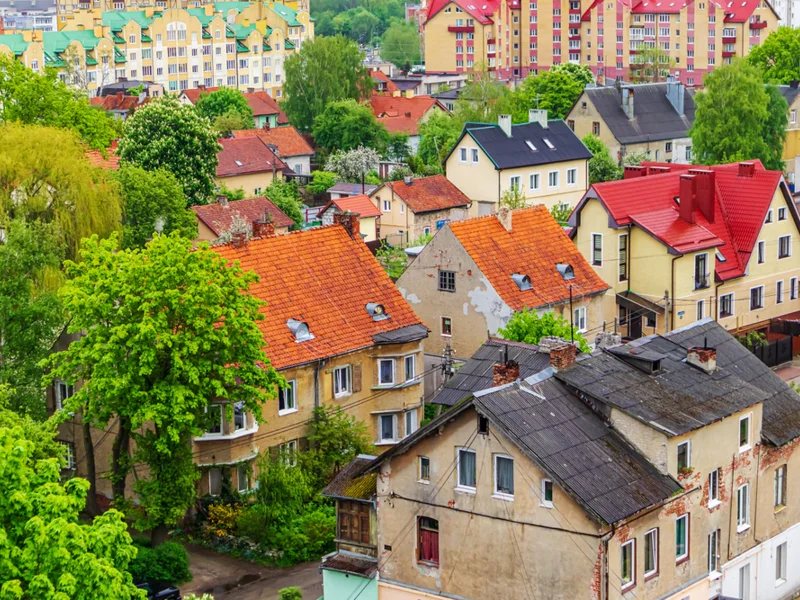 Знакомство с Куршской косой — тур из Зеленоградска — фото 6, Зеленоградск | Покатаем