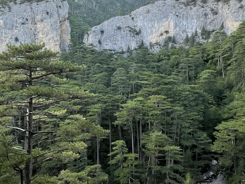 Тропами Крыма: хайкинг для всех (из Алупки) — фото 7, Алупка | Покатаем