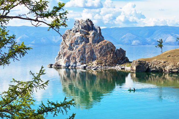 Виды Незабываемый Ольхон