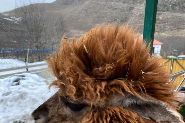 Виды Восьмёрка, Хасаут и Долина нарзанов (индивидуальная поездка)