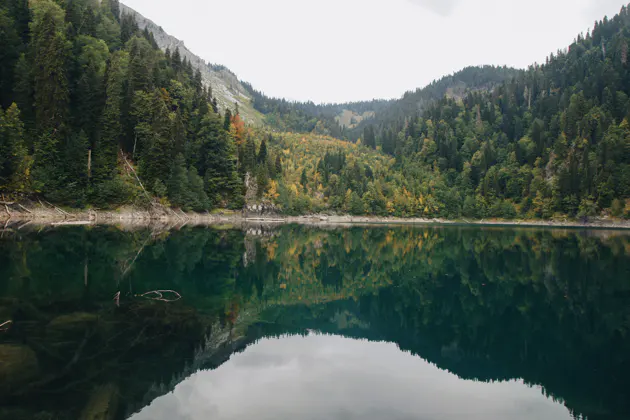 Волшебная Малая Рица — фото 3
