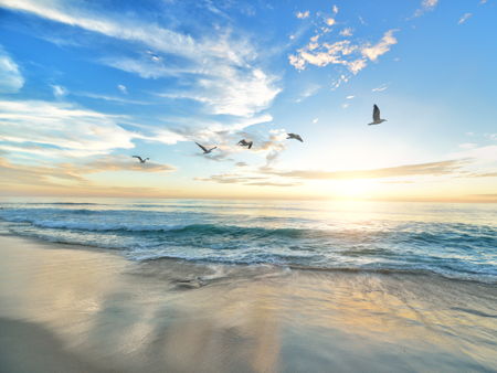 Пляж «Посейдон»