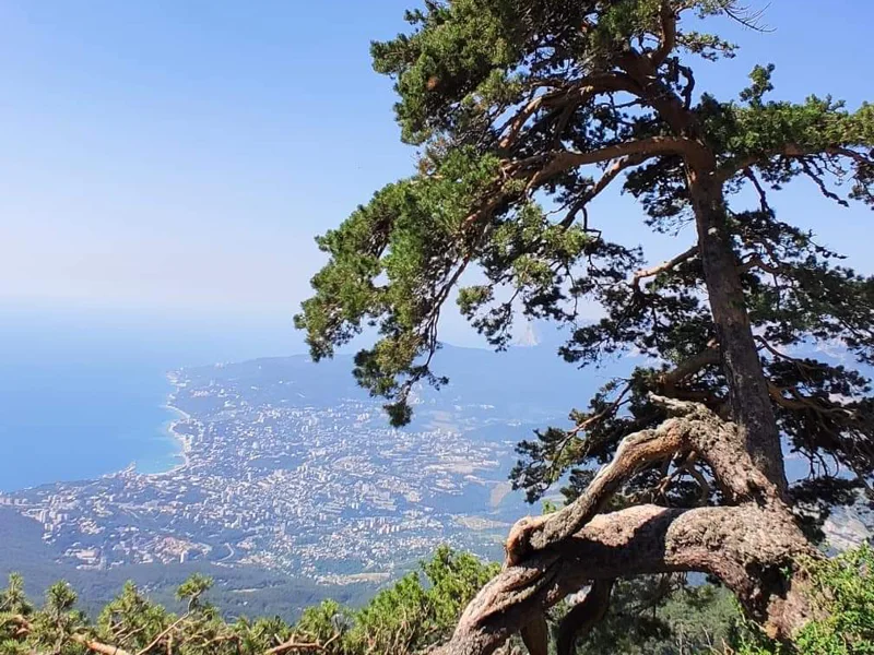 Царская дорога: по следам Романовых (из Алупки) — фото 7, Алупка | Покатаем