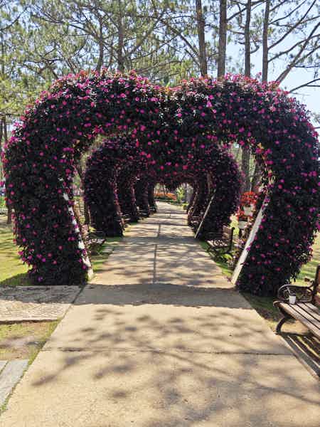 Лучшие кадры Далата: от классики до диких троп - фото 2