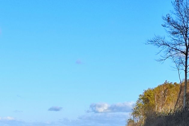 Виды Балтика: Куршская коса, город котов Зеленоградск и сыроварня «Шаакен Дорф»