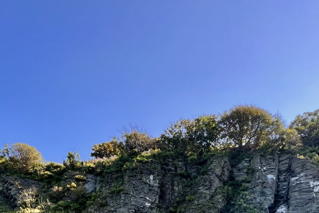 Виды Прогулка на САП-досках по живописным бухтам Владивостока и острова Русский