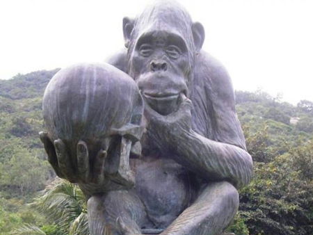 Остров обезьян