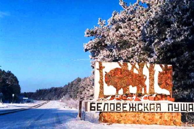 Главное изображение экскурсии - Заповедный напев Беловежской пущи