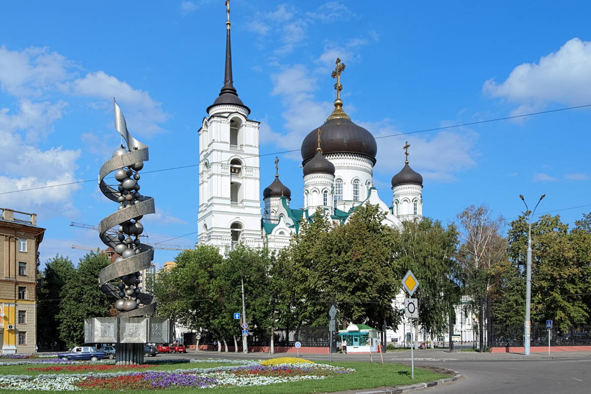 Воронежское водохранилище