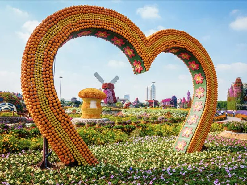 Парк цветов Miracle Garden и ярмарка Global Village из Абу-Даби — фото 5, Абу-Даби | Покатаем