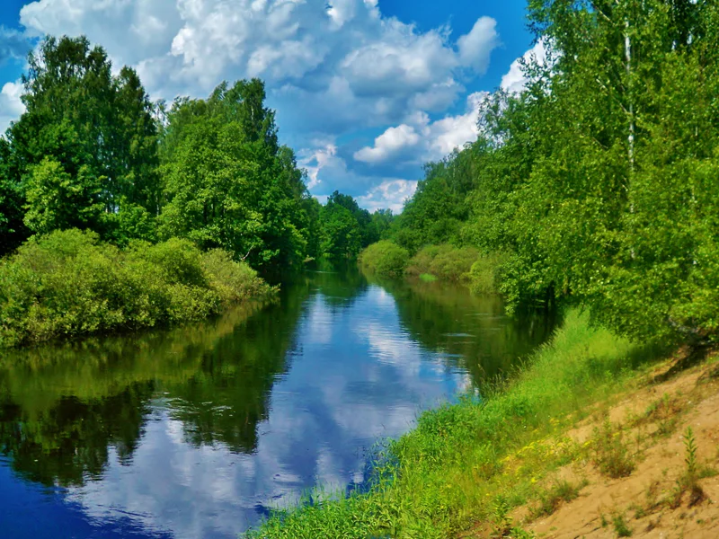 Экскурсия в музее-усадьбе «Полотняный Завод» по следам А. С. Пушкина — фото 6, Калуга | Покатаем