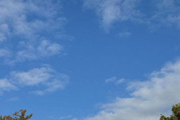 Виды Небо на земле. Ансамбль Смольного монастыря (+ сад Смольного)