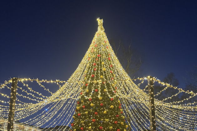 Рождественская Балтика: Светлогорск, Зеленоградск и сыроварня «Шаакендорф»