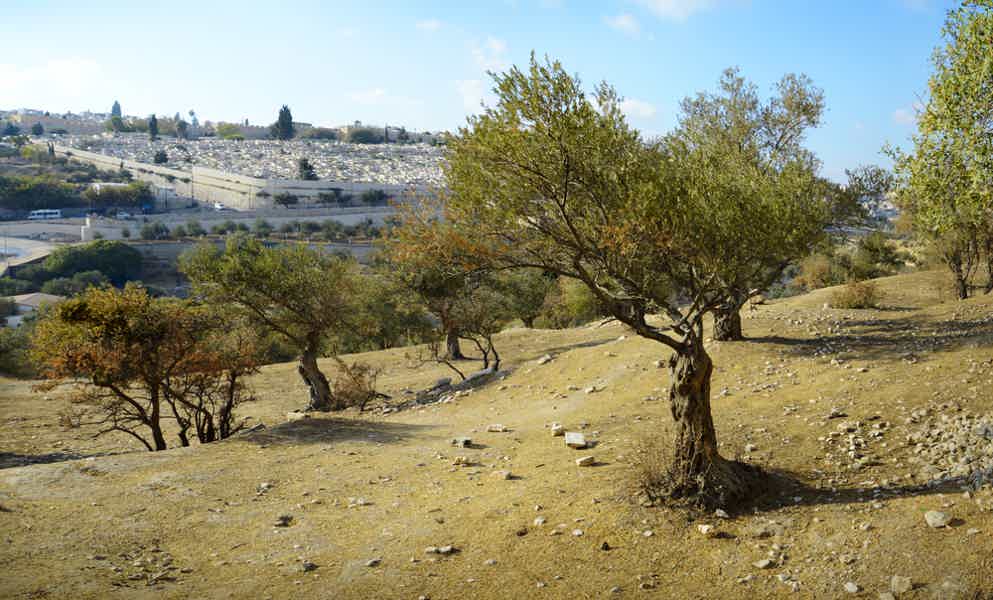 От Елеонской до Сионской Горы — древнейшее кладбище Иерусалима  - фото 5