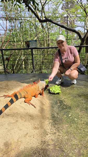 Север острова Себу - сафари-парк и горячие источники  - фото 6