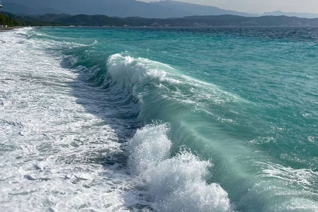 Путешествие на лучший пляж Чёрного моря в Пицунде
