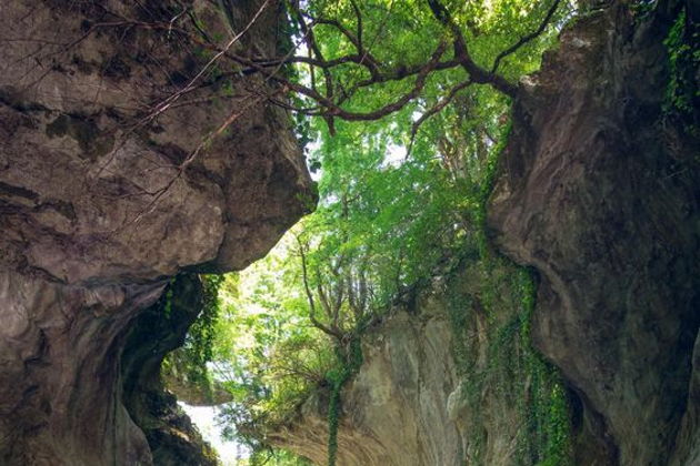 Виды Тайны подземного мира и изумрудные воды Мартвили