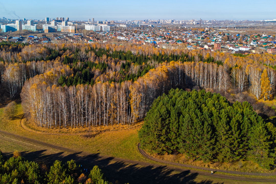 «Кругосветное путешествие» по новосибирским наукоградам — фото 4