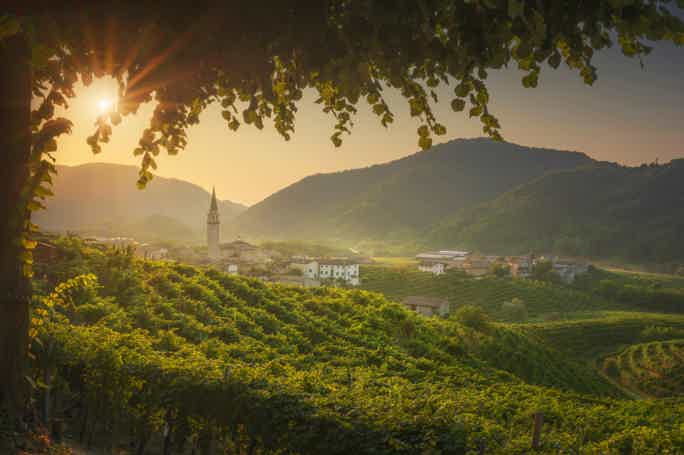 Prosecco - Wine tour & tasting - Full day in the Prosecco region