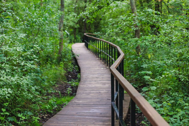 Виды Город Кронштадт и остров Котлин: вчера, сегодня, завтра