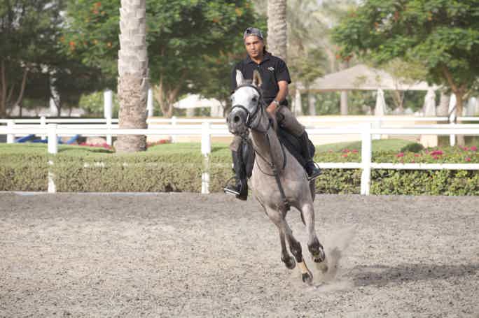 Прогулка на лошадях в Дубае