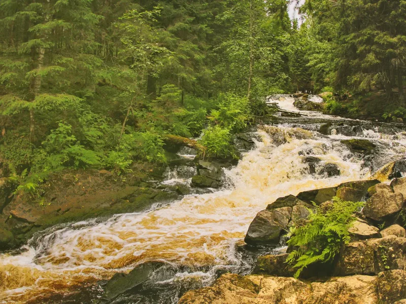 Хиты Карелии: долина водопадов, финская уха и музей в скале — фото 2, Санкт-Петербург | Покатаем