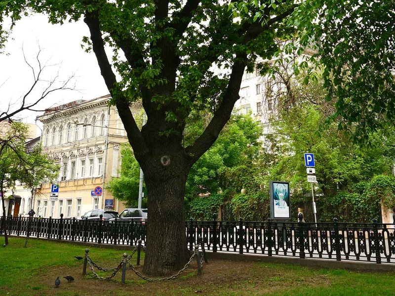 История и тайны Тверского бульвара — индивидуальная экскурсия — фото 7, Москва | Покатаем