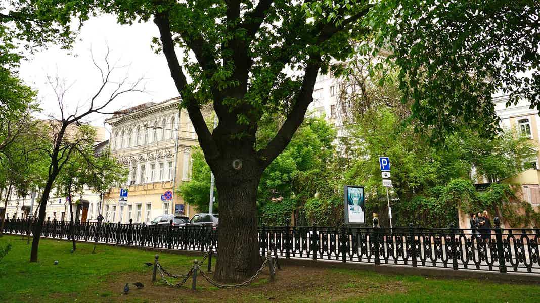 История и тайны Тверского бульвара — индивидуальная экскурсия - фото 6