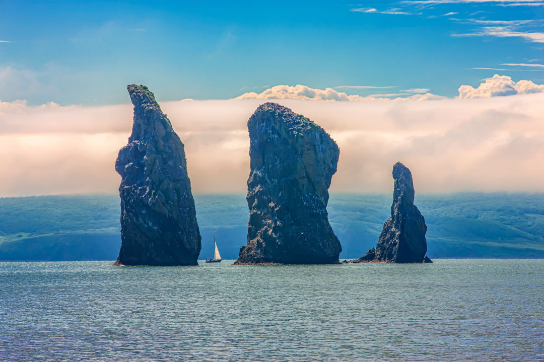Морская прогулка по Тихому океану: сивучи, киты, рыбалка и краб — фото 3